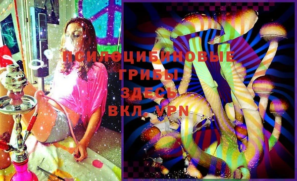 ПСИЛОЦИБИНОВЫЕ ГРИБЫ Богородск