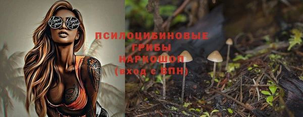синтетический гашиш Богородицк