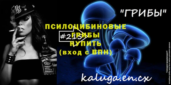 синтетический гашиш Богородицк