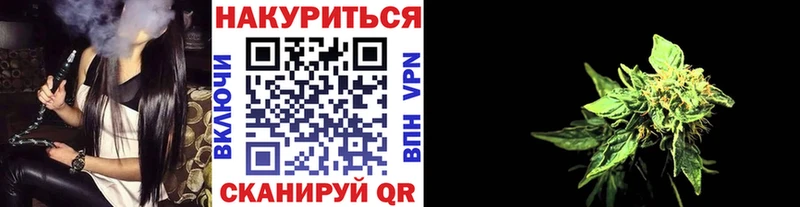 Марихуана сатива  Котлас 